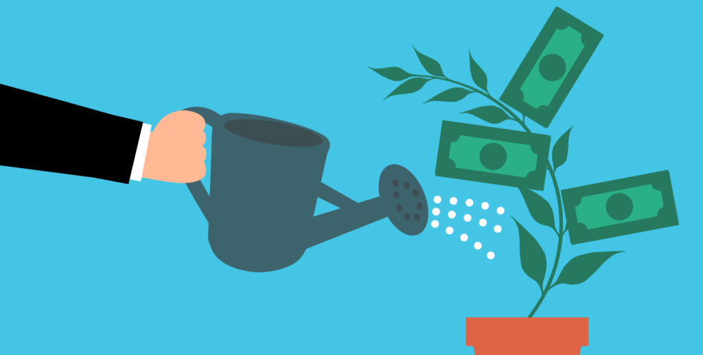 a money tree getting water from representing the growth of a stock market portfolio